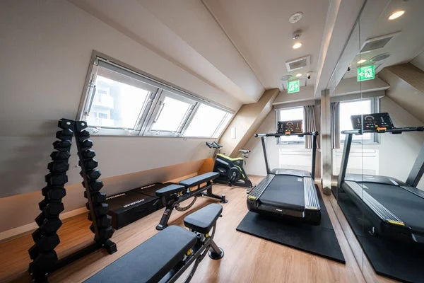 トレッドミル、エアロバイク、ダンベル、ベンチなどのトレーニング機器が揃ったジム