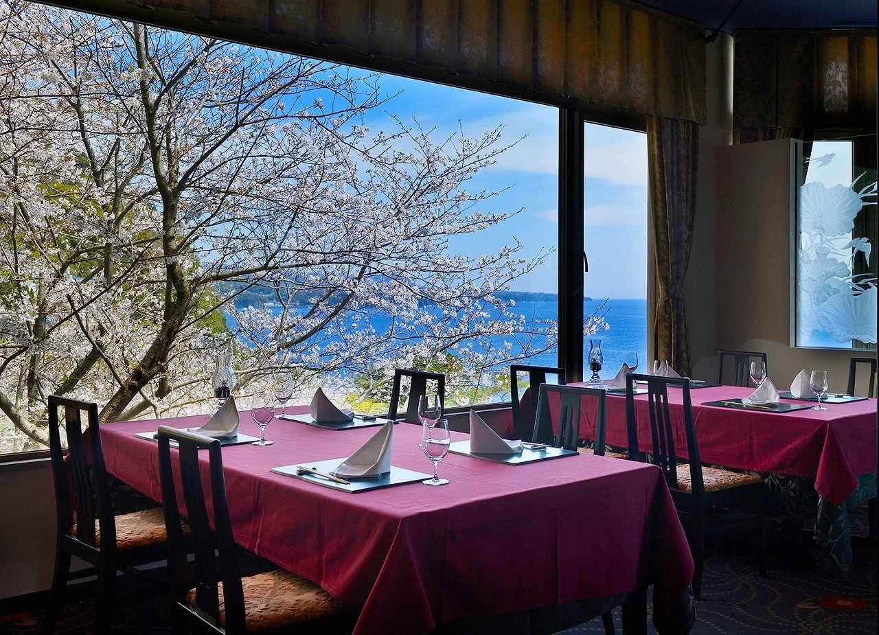 窓から満開の桜と青い海が広がるレストランのダイニング