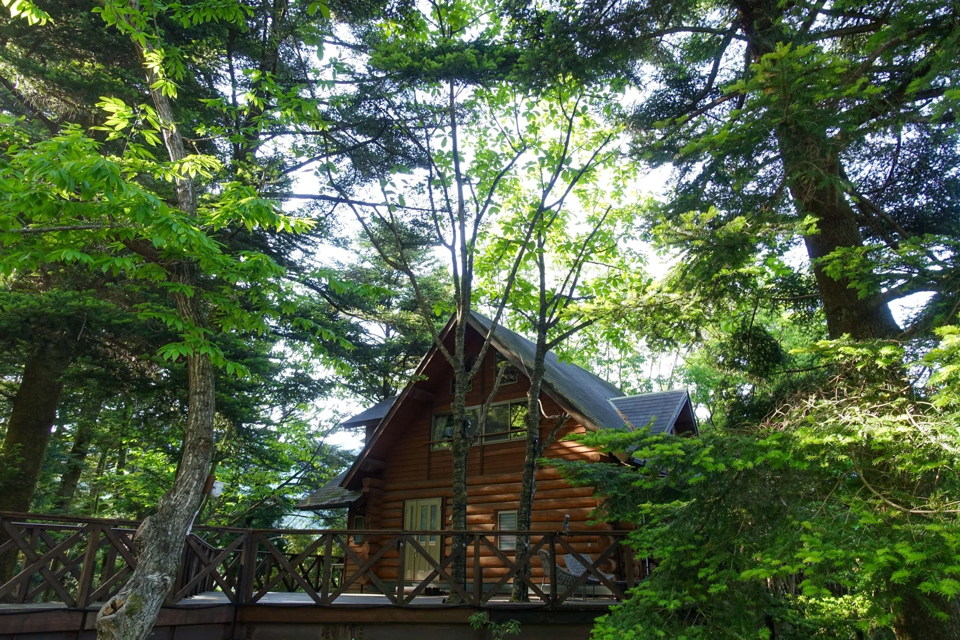 豊かな緑に囲まれた森の中に佇む木造のログハウス