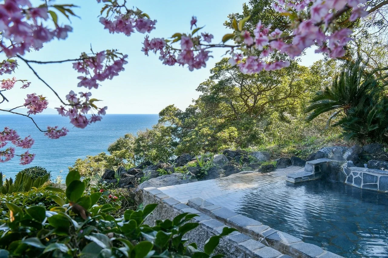 満開の桜が前景を彩る海を望む露天風呂