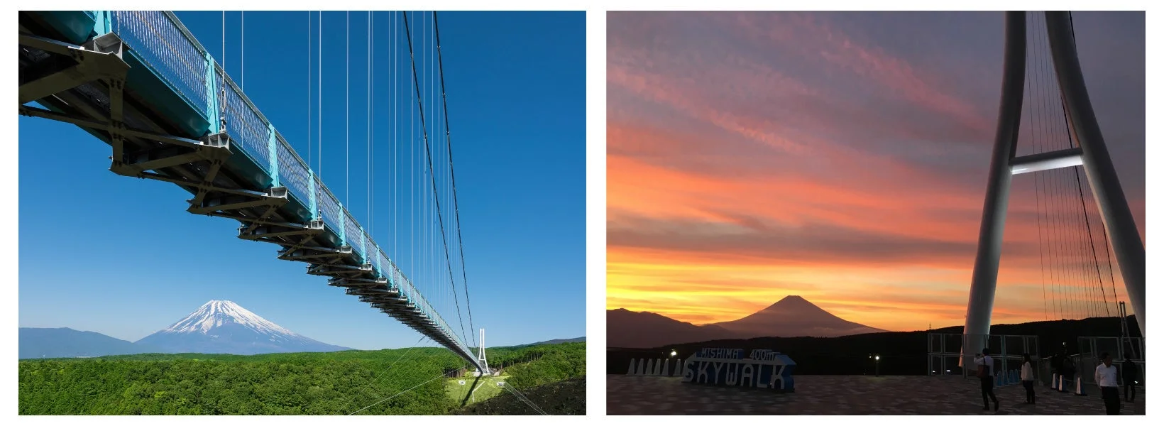 三島スカイウォーク全景