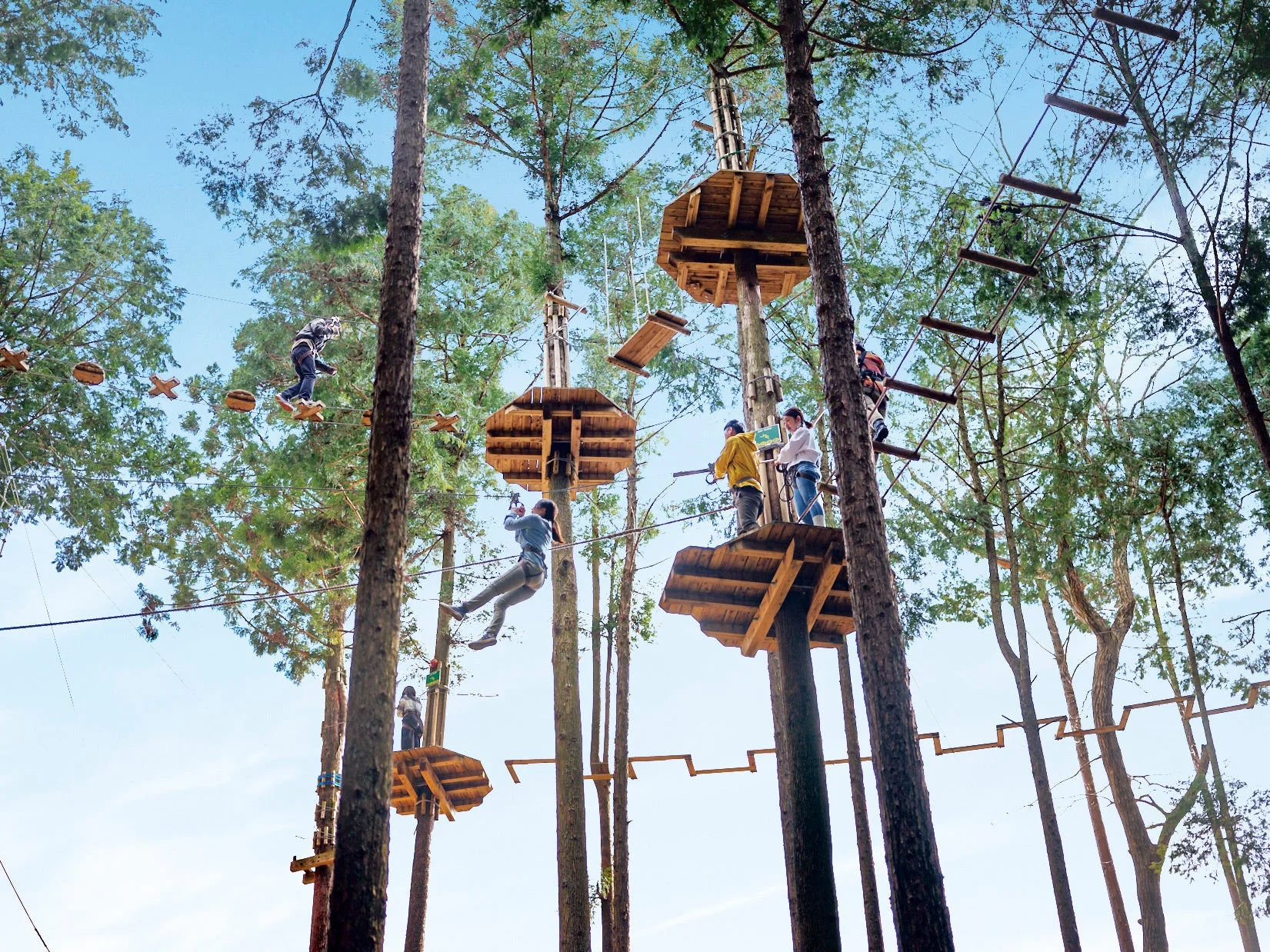 フォレストアドベンチャー