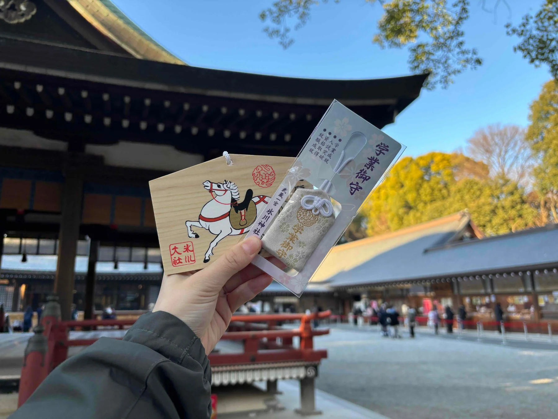 お守りを持つ手と氷川神社